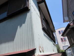 IMG_0908