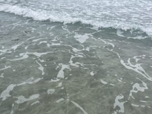 IMG_2012